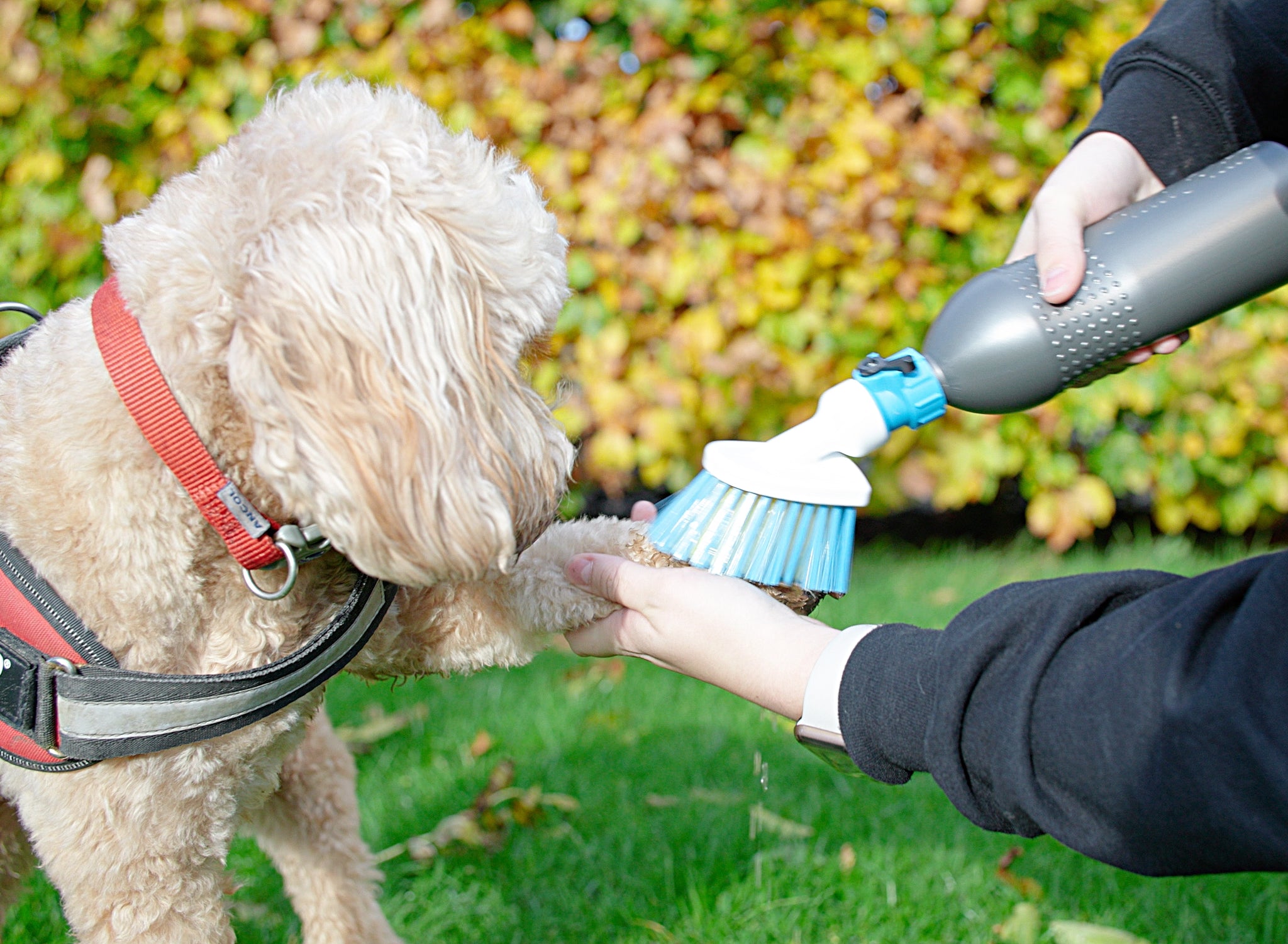 Paw Mate - Quickly Wash & Clean Your Pet Paws & Fur - Also Ideal for Muddy Boots & Footwear – 500ml Bottle - Also Connects to Garden Hose – Pet & Dog Paw Cleaner Washer & Thoughtful Dog Walker Gift